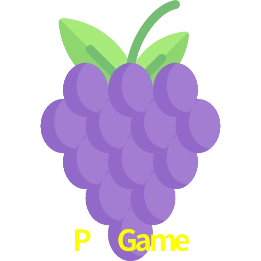 P8 Game
